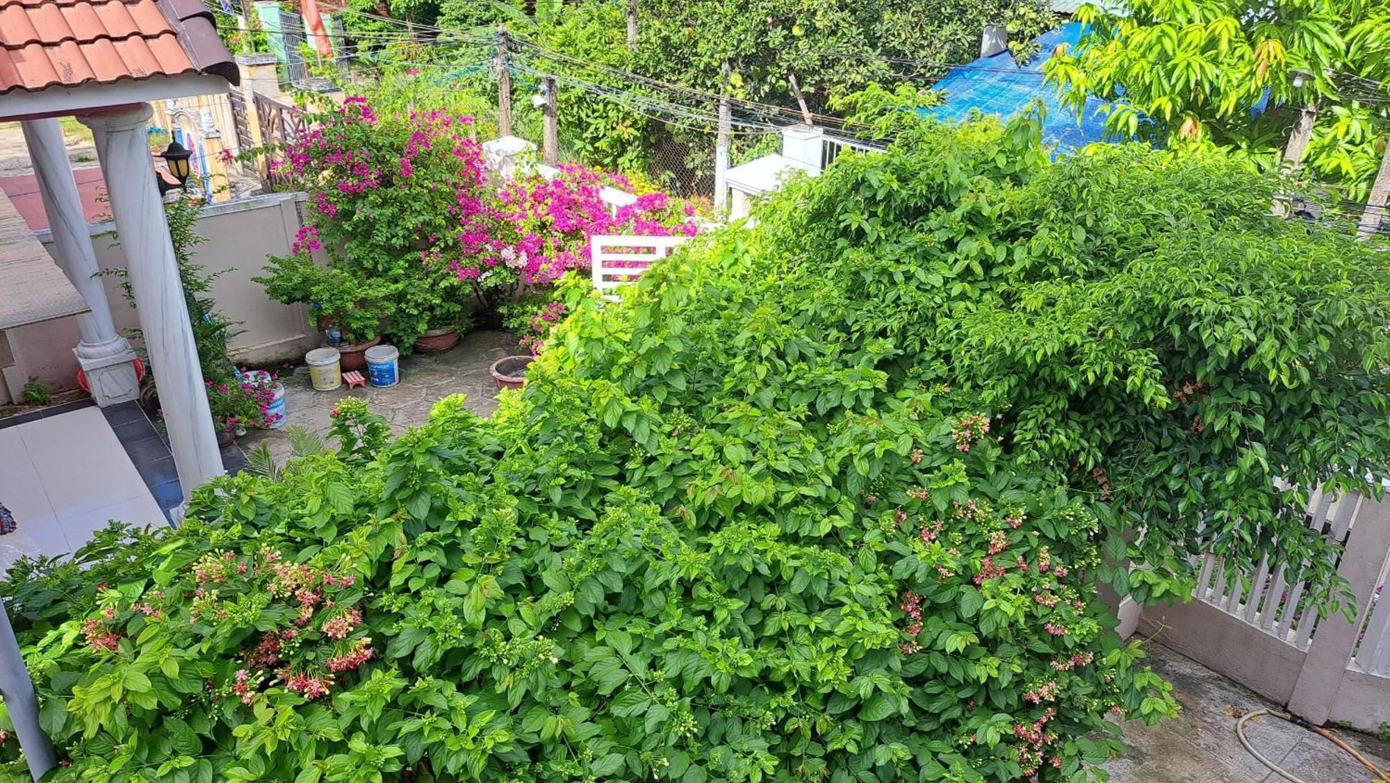 Pink House Homestay Χόι Αν Εξωτερικό φωτογραφία